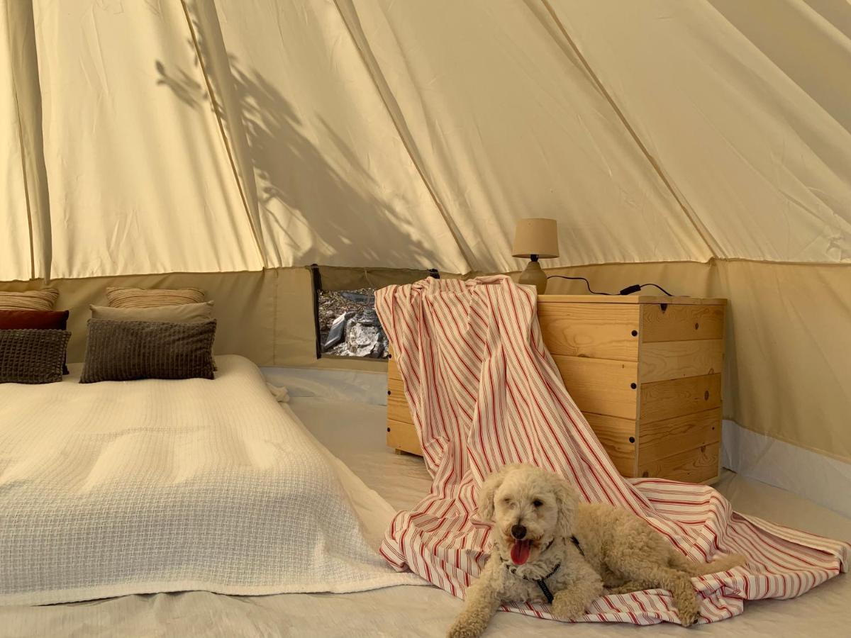 Bigova Glamping Ξενοδοχείο Κότορ Εξωτερικό φωτογραφία
