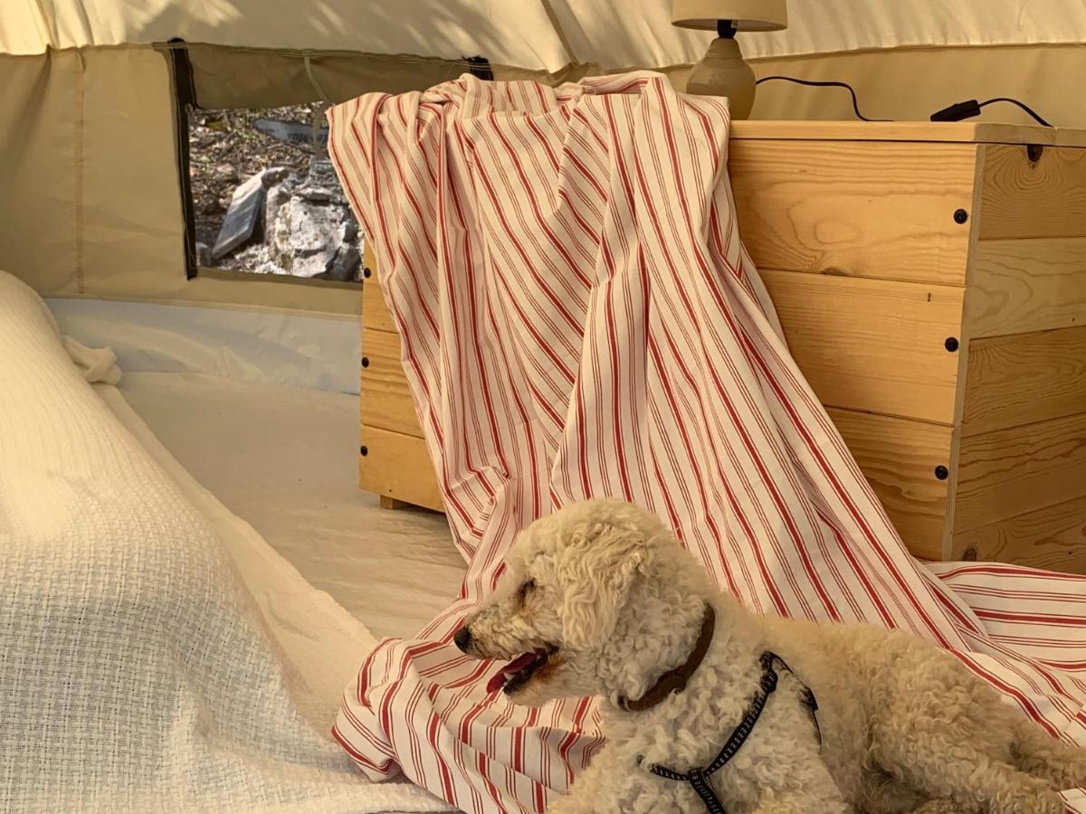 Bigova Glamping Ξενοδοχείο Κότορ Εξωτερικό φωτογραφία