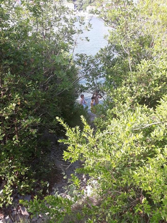 Bigova Glamping Ξενοδοχείο Κότορ Εξωτερικό φωτογραφία